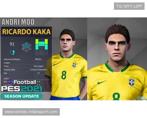 全米兰中文版软件下载教程，详细操作流程与注意事项解析