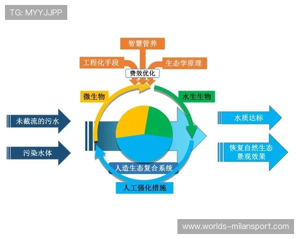 米兰体育app登录异常的技术原因及专业修复建议详解