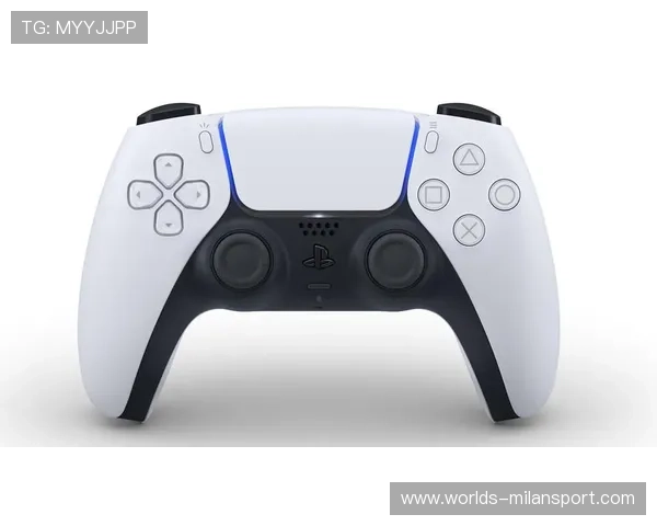 半岛体育网页版入口未来发展规划与新功能预告，持续优化用户体验